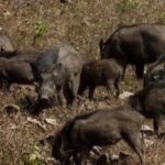 Screenshot_20250710_094148_Google