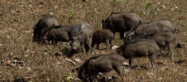 Screenshot_20250710_094148_Google