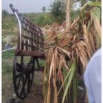 Screenshot_20251017_083601_YouCut - Video Editor