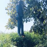 Screenshot_20251108_093635_WhatsApp