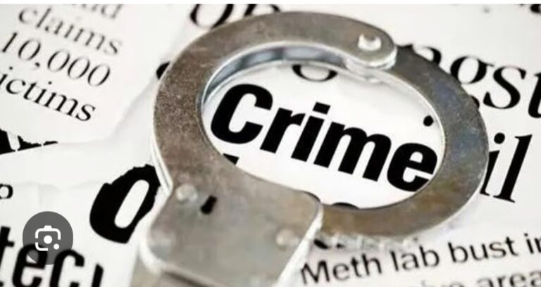 Screenshot_20251114_130117_Google