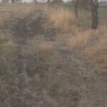 Screenshot_20260729_102039_YouCut - Video Editor